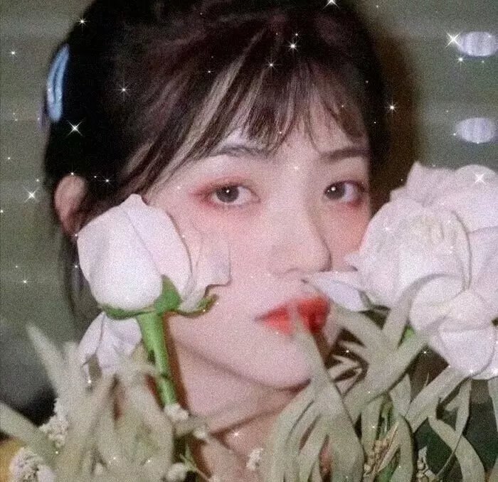 丛林有情狼2